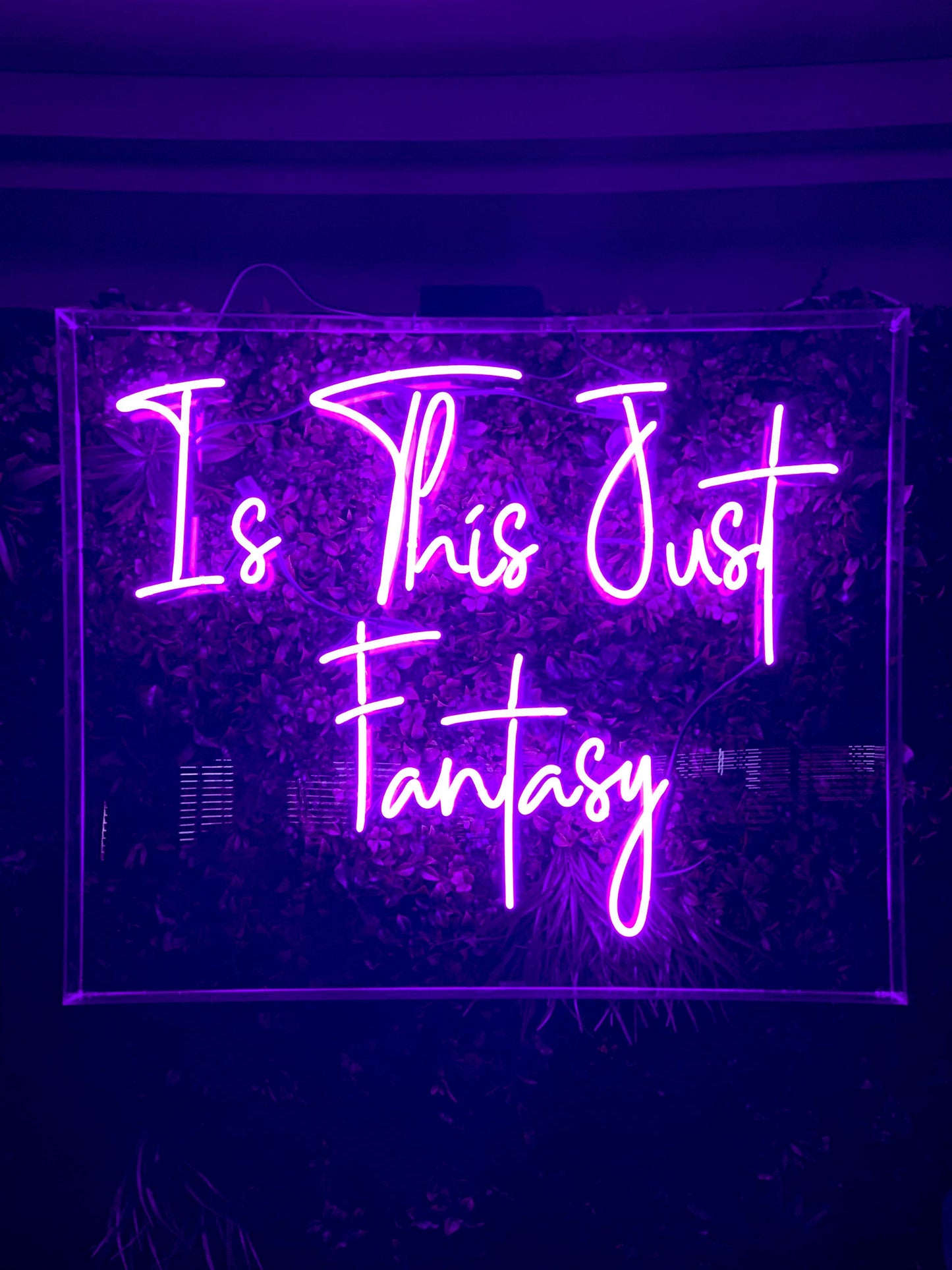 LED Neon Sign (Is This Just Fantasy)